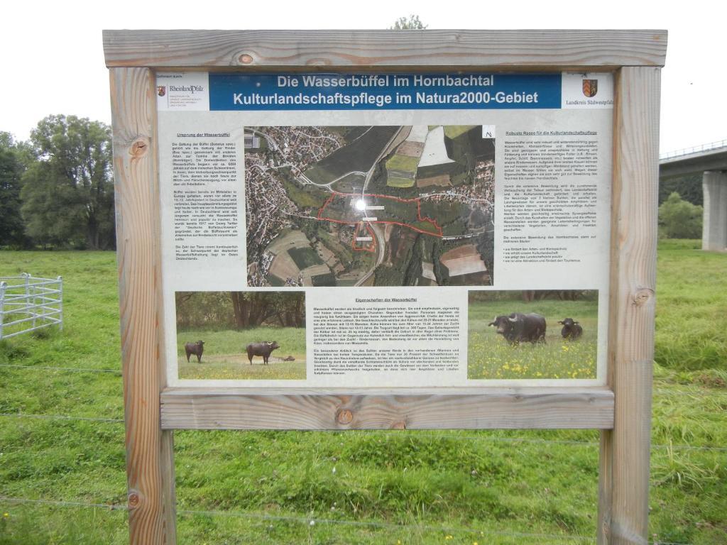 Gaestehaus Monika Hornbach Kültér fotó